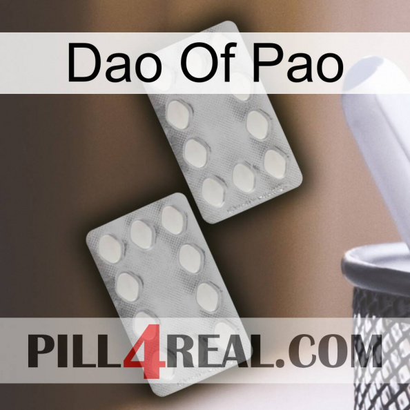 Dao Of Pao 17.jpg